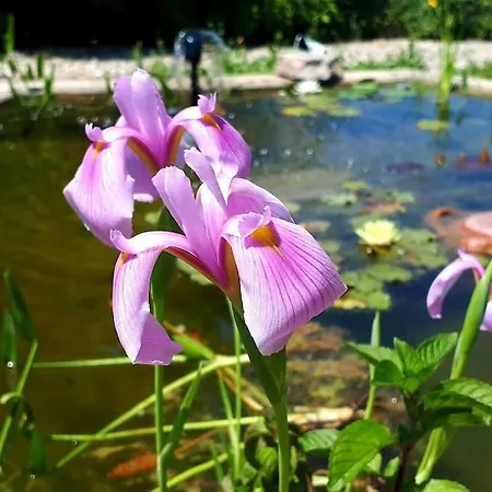 Maison De Maitre Parc Prive Proche Et Drome. *